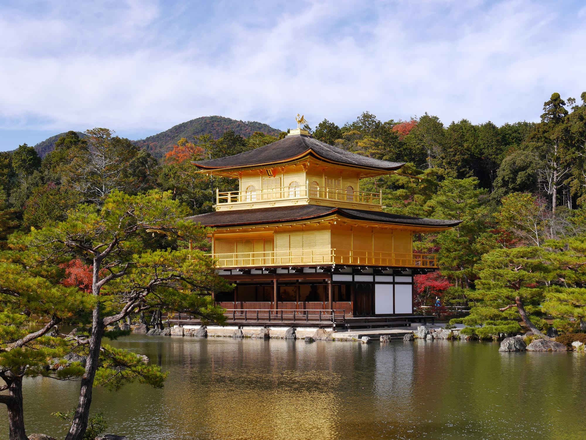 Japan 101